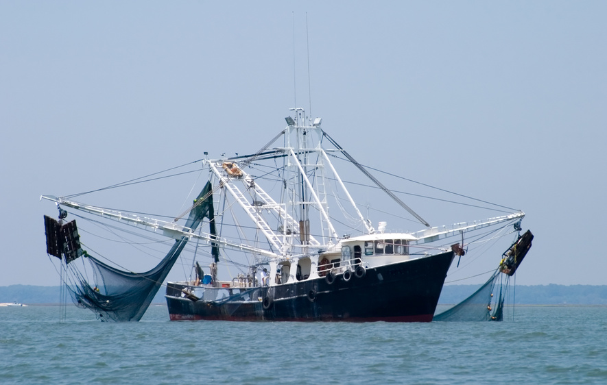 Shrimp Fishing Boat